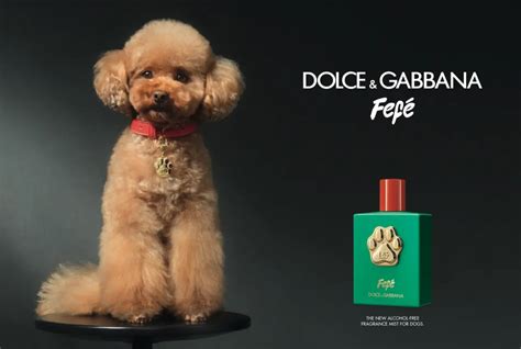 fefe perfume for dogs